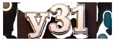 y 31 logo